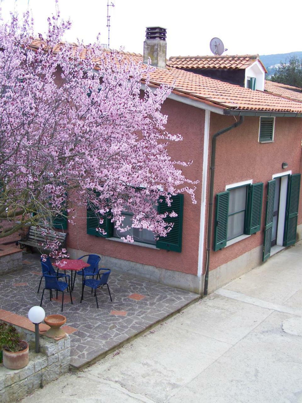 Appartamenti Gli Alberi Capoliveri  Exterior foto